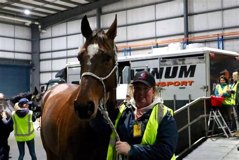 equine international airfreight.